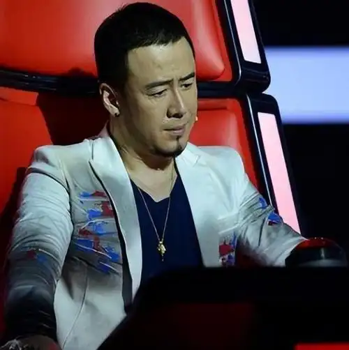 如此便不难洞悉,后来杨坤缘何能够荣登《中国好声音》导师之席,熠熠
