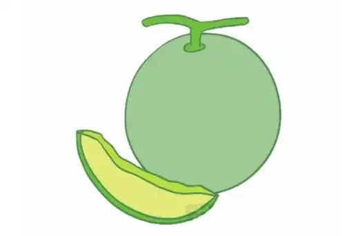 哈密瓜简笔画图片