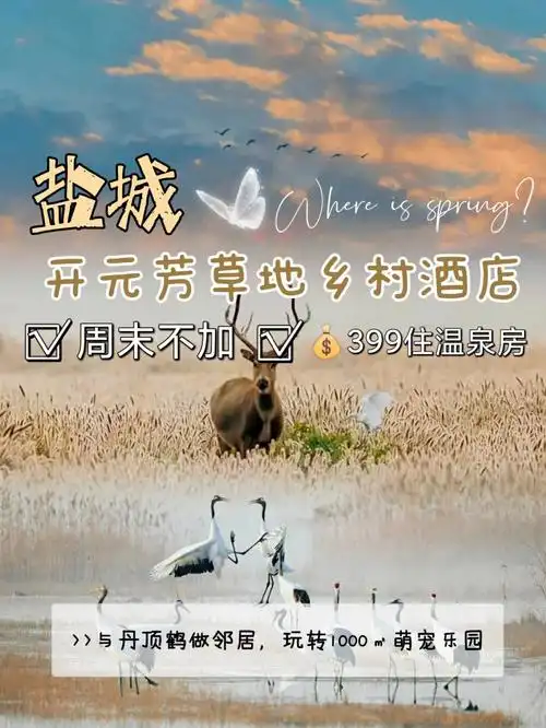 小众遛娃一站式盐城开元芳草地乡村系列