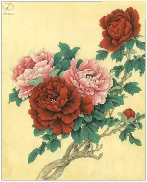 16种牡丹的工笔画绘制步骤你更喜欢哪一种
