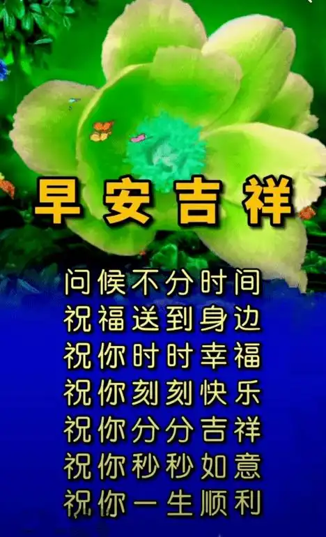 早上好问候祝福动态表情图片2020温馨早上好问候祝福语录