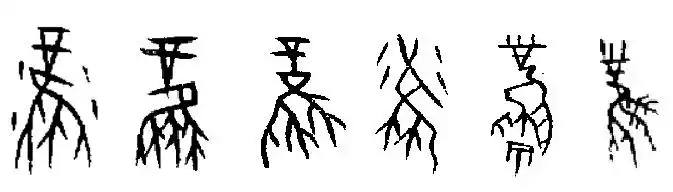 山海经:神鸟凤凰的"凤"为何与甲骨文"风"是同字?是相风之鸟