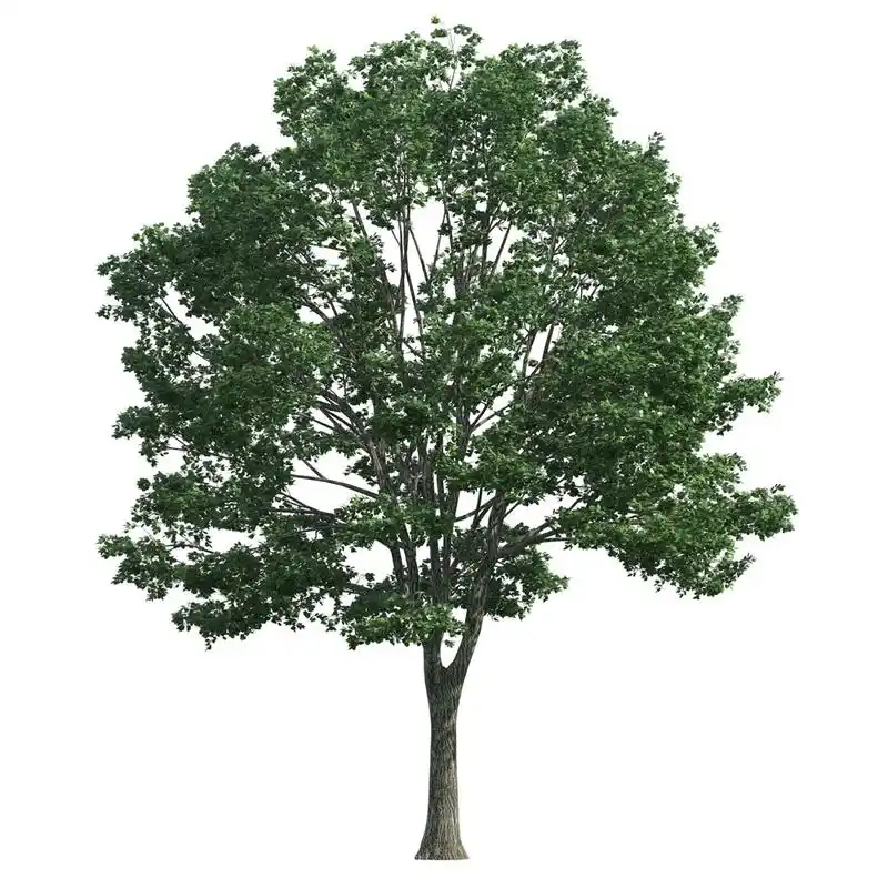 乳腺癌是会遗传给下一代的吗?乳腺癌有遗传性吗?