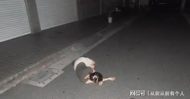 夜店服务生真实捡尸经历透露为什么醉倒街头的女生没人敢扶