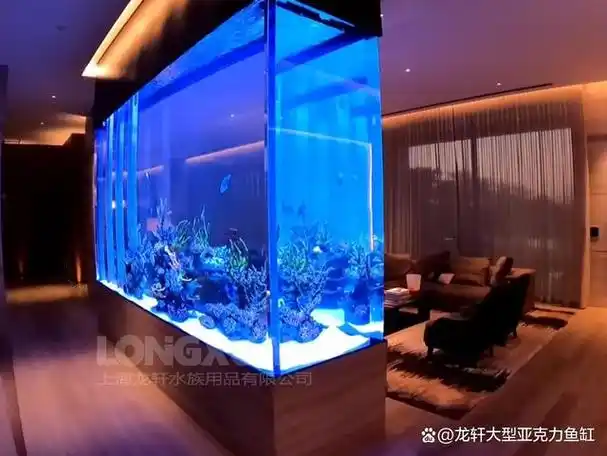 亚克力鱼缸适合放置水下鱼缸消毒器吗?