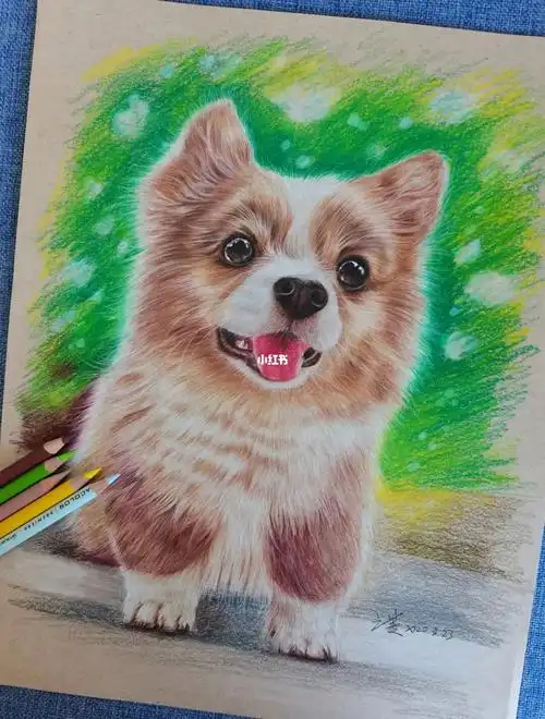 彩铅狗狗