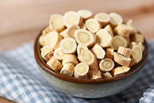 黄芪拍摄 杨师傅