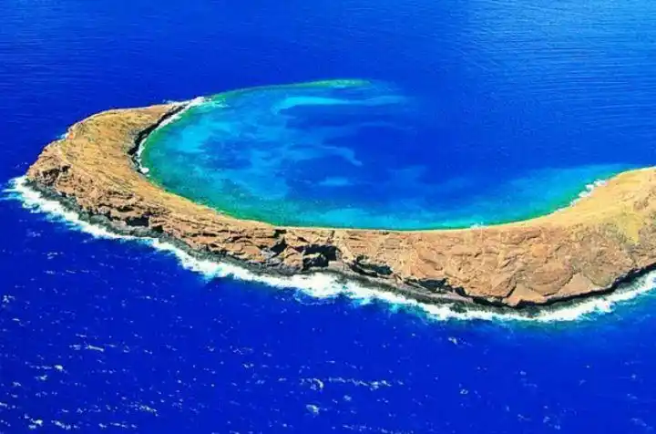 澳大利亚最大的湖泊,摄影圣地,艾尔湖为什么每隔几年干涸一次?