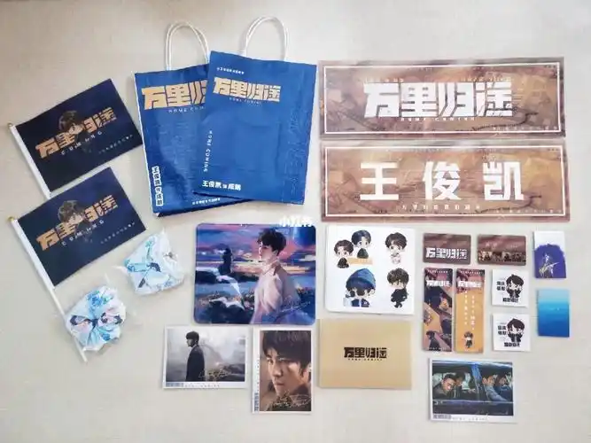 电影万里归途王俊凯粉丝包场