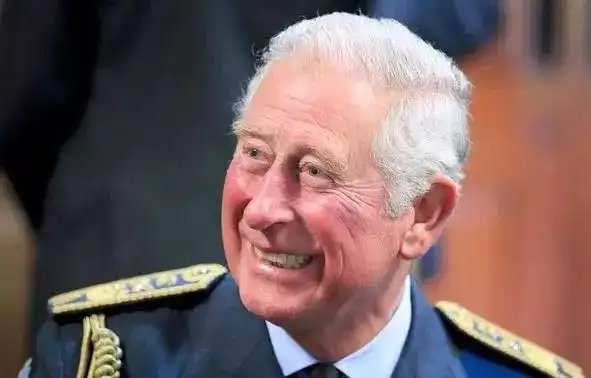 查尔斯王子七十大寿| 少年自卑,中年渣男的懦弱人生