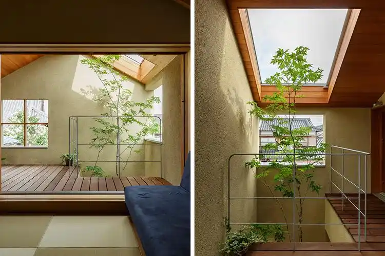 生机盎然的室内天井