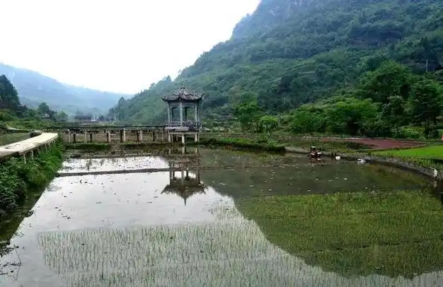 凯里炉山镇洛棉稻香渔歌促乡村振兴