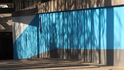 今天又发现一面光影墙～闭关第50天