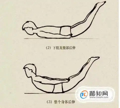 腰椎间盘突出锻炼法燕子飞怎么做优质