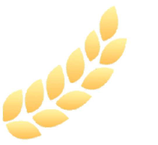 【委员风采】陶土绕指柔 匠心烧名瓷——走进市政协