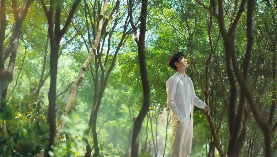 王一博万物皆可酷