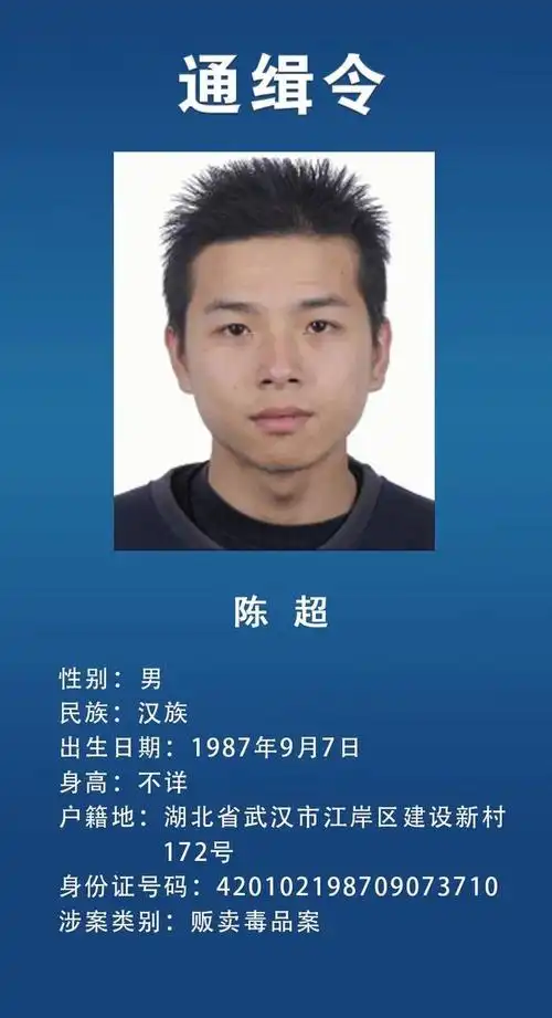 网上通缉令名单怎么查 - 冷思维