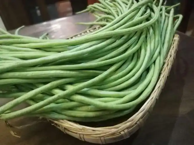 甜妈私家菜之肉末酸豆角