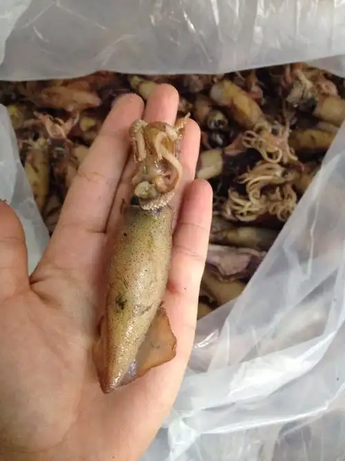 满籽籽乌200g新鲜干籽乌海鲜水产干货小乌贼带籽墨鱼干乌贼