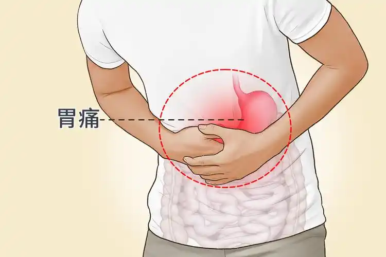 胃痛位置图