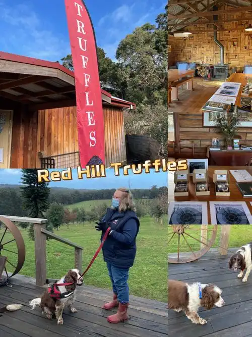 墨尔本redhilltruffles