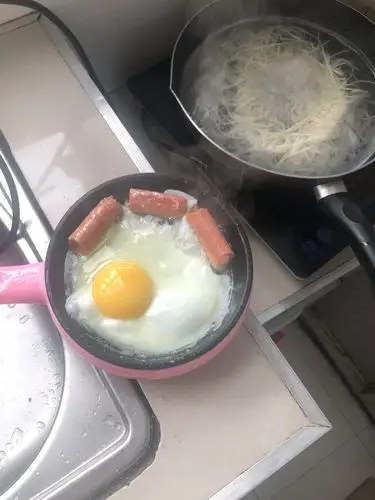 纳丽雅(naliya)多功能煎蛋器小型宿舍电煎蛋锅鸡蛋锅底锅家用插电锅