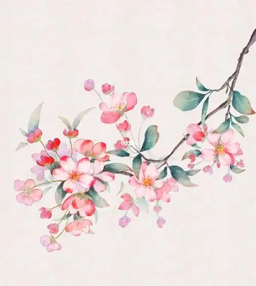 水彩质感海棠花