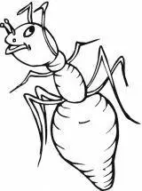 蚁后怎么画简笔画