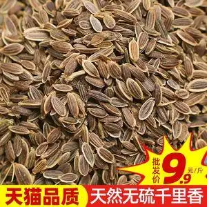 千里香50g百里香籽九里香料另卖草果八角小茴香桂皮大全烘培原料