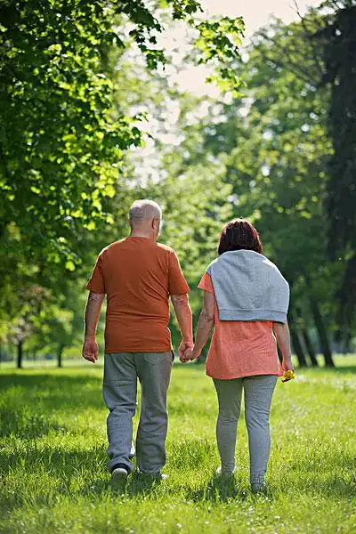 老年,夫妻,走,自然
