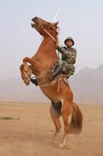 这是我们当代的骑兵!依然可见当年的雄姿![12p]