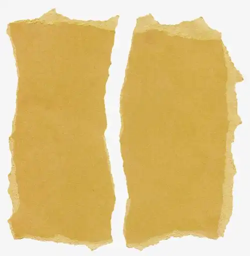 碎纸,报纸,撕碎