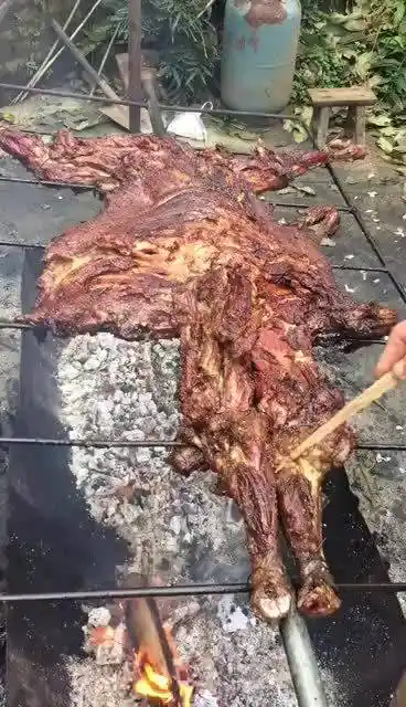 这种才是正宗的野外烤肉,吃起来它未必不香吗
