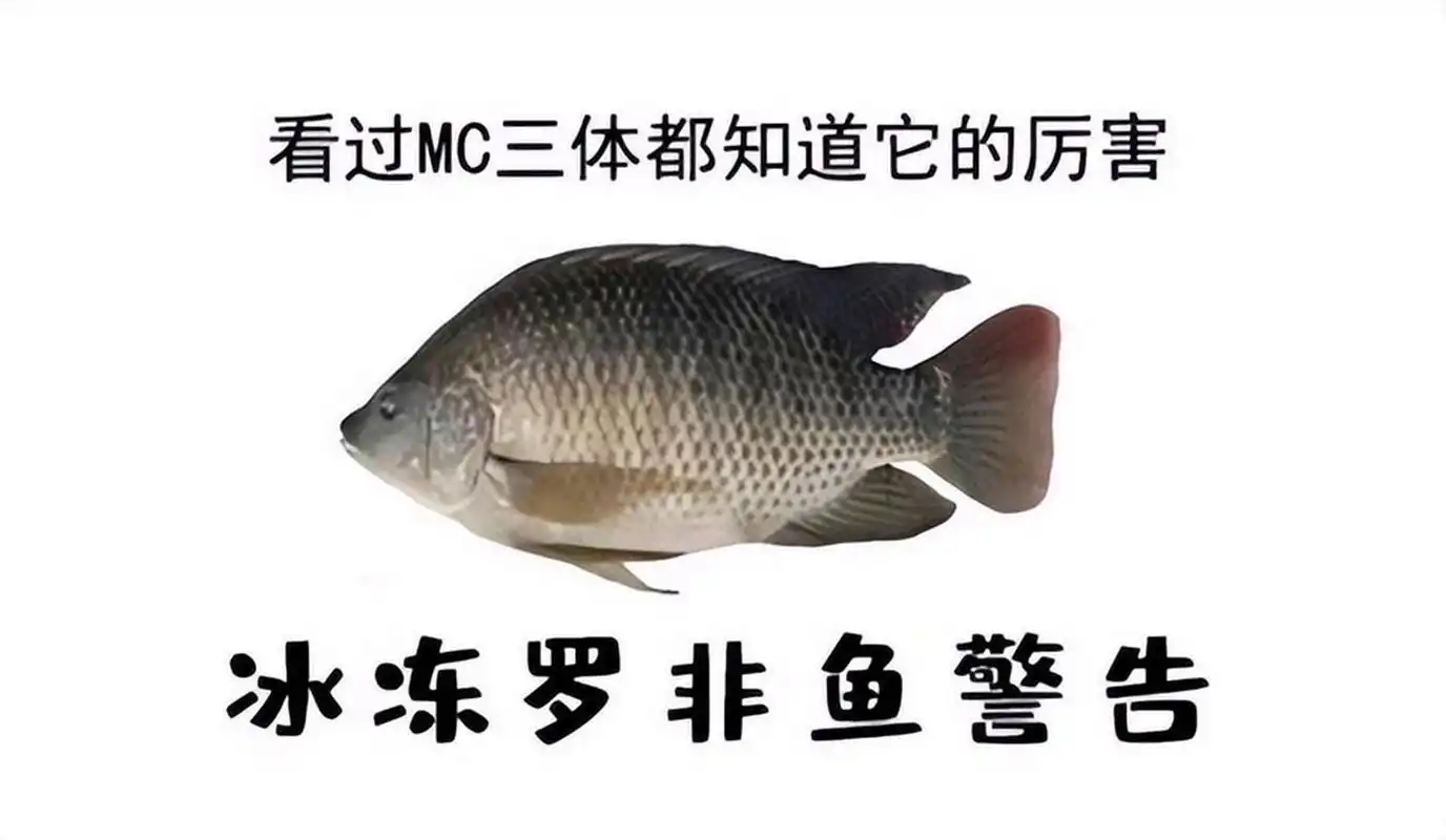 看了三体才懂的梗#三体电视剧