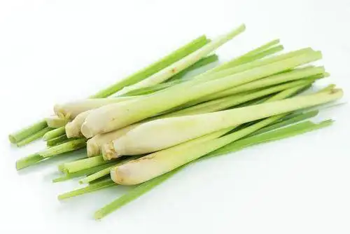 citronella