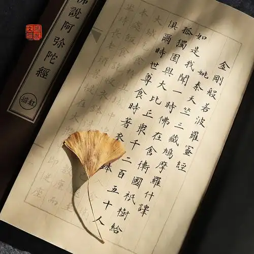 心经宣纸楞严练字入门书法描红毛笔字写本抄写宣纸