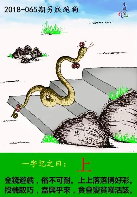 澳门跑狗376969资料