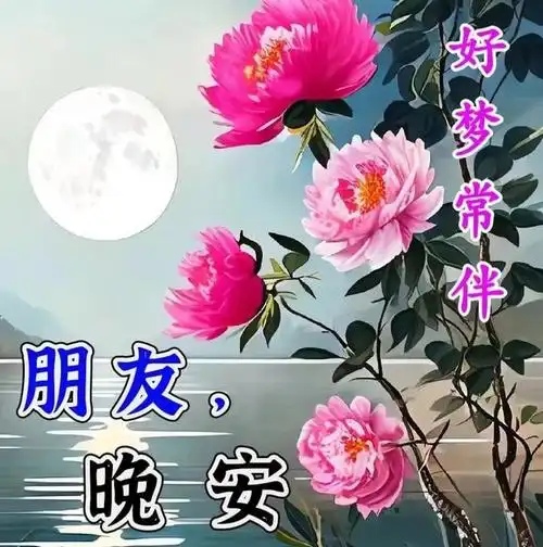 4月适合睡前群发晚上好问候动画表情包 晚安问候祝福语片带字温