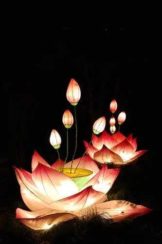 荷花灯制作