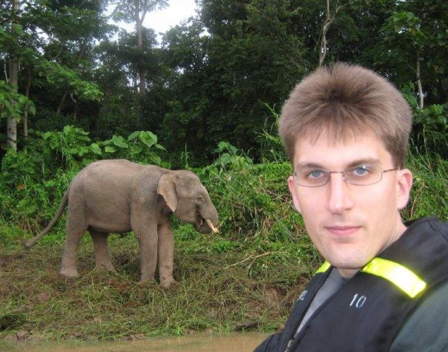 婆罗洲矮象生活环境,婆罗洲侏儒象(亚洲象borneensis)小于普通亚洲象