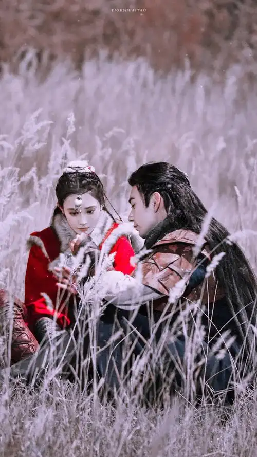 电视剧东宫全身高清截修壁纸忘川夫妇