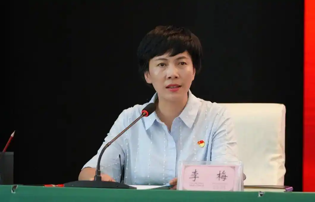 如何学习贯彻省委省政府红河现场办公会精神,市长李梅这样说.