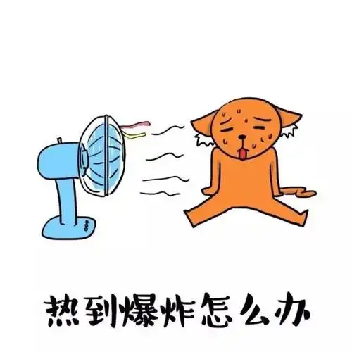 小洲村:昔日名气比肩周庄