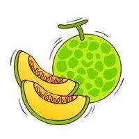 哈密瓜卡通头像_微信头像图片大全