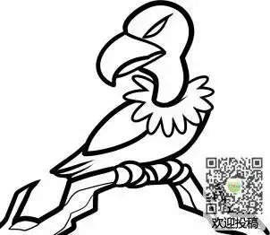 白头海雕儿童简笔画-凶猛的秃鹰7