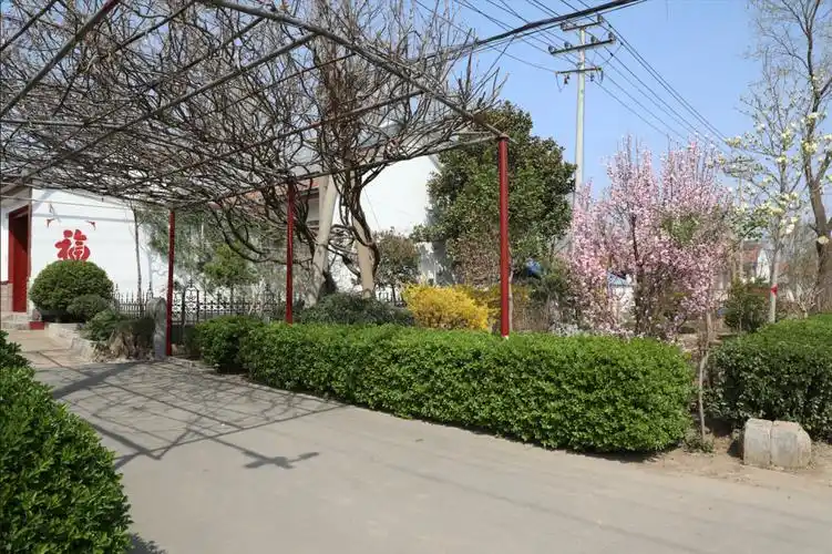 屋后及网格小广场等地,见缝插树,协力造绿,确保村庄绿化水平全面提升