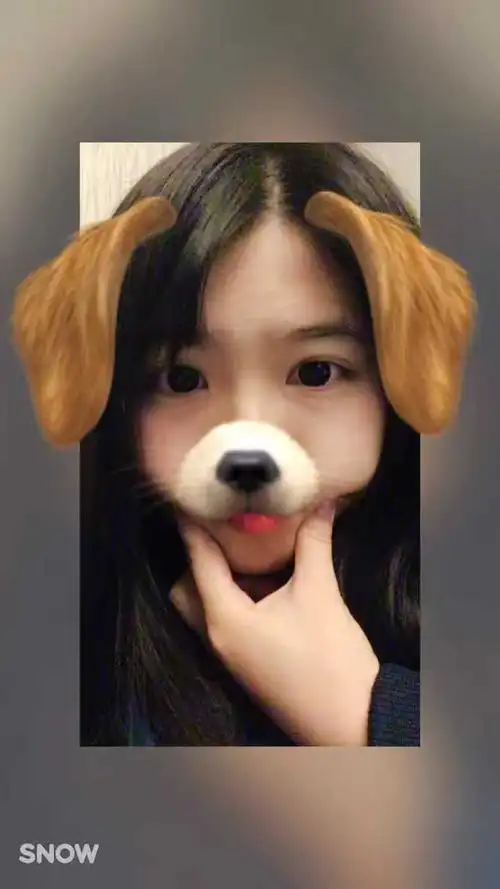 听说很无辜  听说很像小狗狗 听说看上去眼睛总是有眼泪