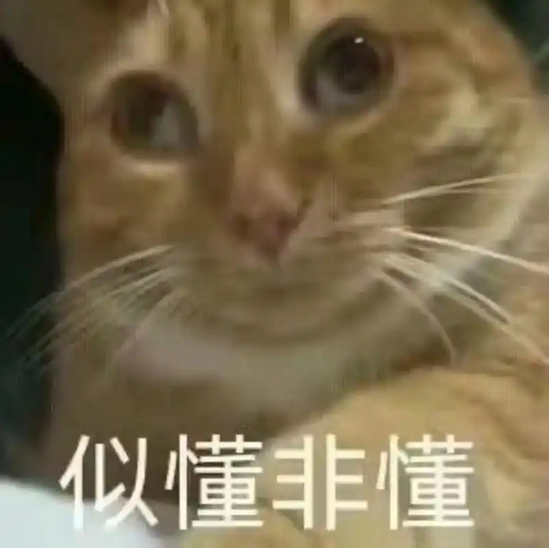 似懂非懂 尊嘟假嘟.#猫咪表情包 #沙雕表情包 #搞怪表情包 - 抖音