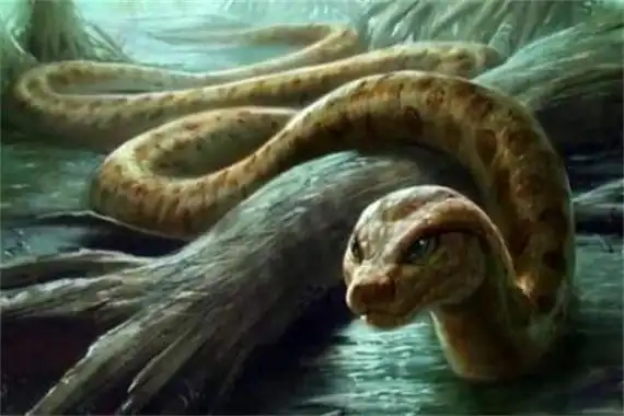 十大已灭绝的蛇