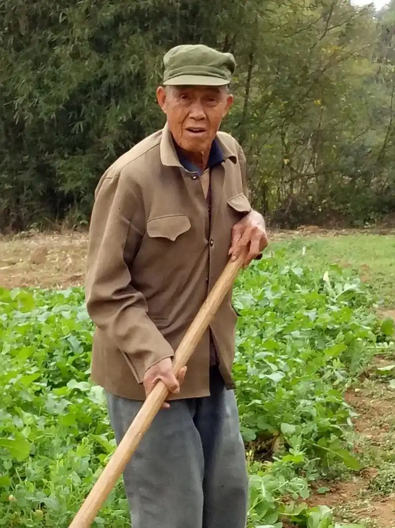 你这糟老头子怎么说走就走了呢,从进你家门23年来我们从未红过 - 抖音